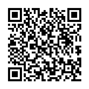 所有人一脸狂热地看向半空中凌霄那架庞大威武的机甲二维码生成