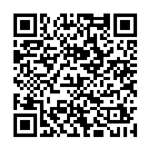 所有人便看见十四皇子小小的身体消失在台阶之上二维码生成