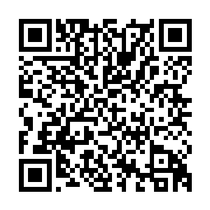 所有人才知道刚刚过去的那一小段时间在这座藏兵之山上发生了二维码生成