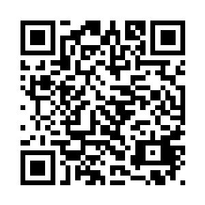 所有人的注意力都放在凌菲的身上二维码生成