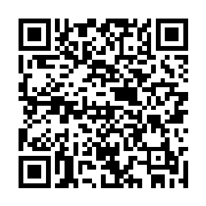 所有人的目光全都盯着小虎那张粉雕玉琢的小脸看二维码生成