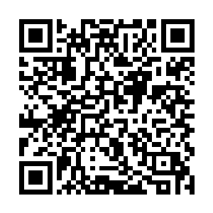 所有人看向凯文的目光都会下意识的落在他的屁股上二维码生成