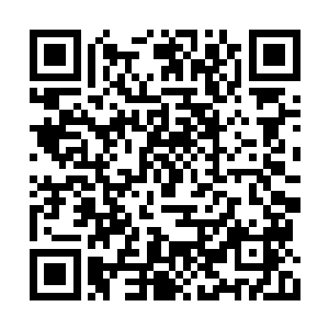 所有人都以为杨开留下这三座秘境是要造化人族二维码生成