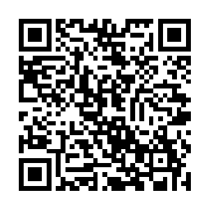 所有人都因为这句话而想象秦始皇的棺材是怎么样的二维码生成