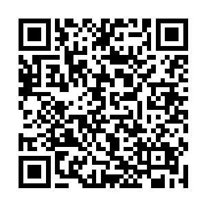 所有人都在为明天的啤酒节和狂化日做着最后的准备二维码生成