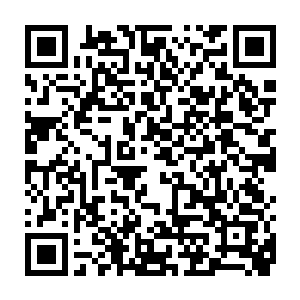 所有人都得要考虑如何在这一轮向省委十背书中避免自己被牵连过大二维码生成