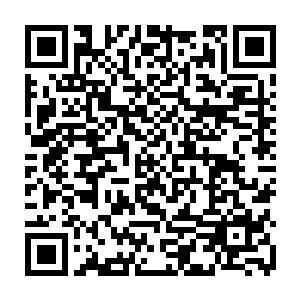 所有人都无比紧张的看着眼前的这一幕的……貌似是一个两败俱伤的局面二维码生成