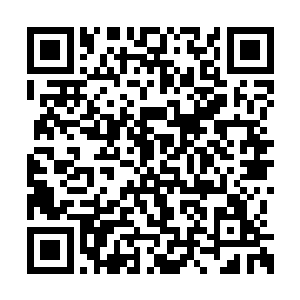 所有人都是一脸傻傻的看着秦方翻出来的那张牌二维码生成