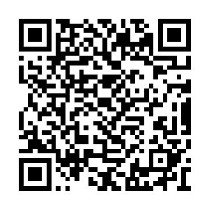 所有人都看到了一场诡异而可怕的……人性战争二维码生成