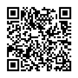 所有人都看到了那一袭蕾丝绣花晚礼服的袅袅风情二维码生成