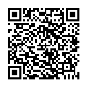 所有人都认为玛丽亚选择了一个绝佳时机发行最新单曲二维码生成