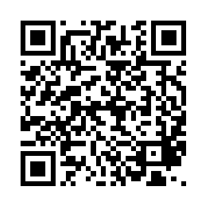 所有你能穿上的衣服全部都买下来了二维码生成