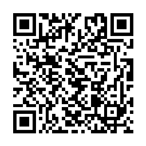 所有八大山人的画作价值都会再被推上一个高峰的二维码生成
