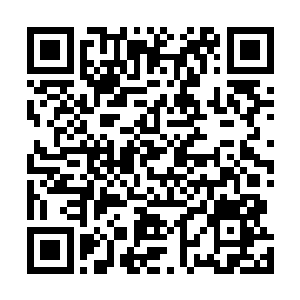 所有吐蕃人就像错过了储存食物节令的旱獭在大雪里刨食二维码生成