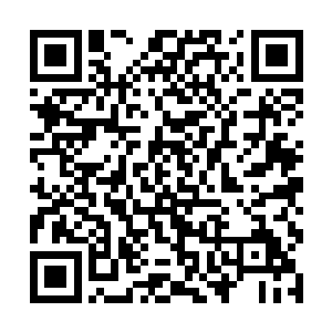 所有听到这个声音的人的眼睛也是忍不住呆滞了瞬间二维码生成