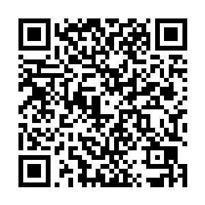 所有大学士与大儒如同被施加了一瞬间的定身妖术似的二维码生成