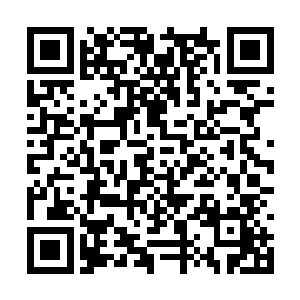 所有天一道的弟子全在长辈的保护下撤退到了后山二维码生成