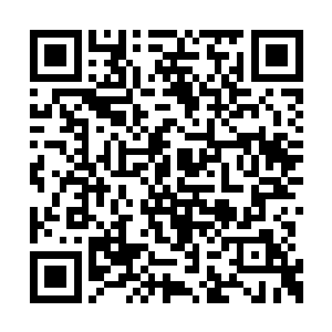 所有失去亲人的小孩都由周琴琴等女子留下抚养二维码生成