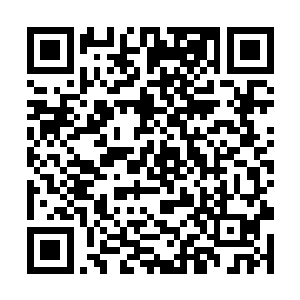 所有很快黑幕仙城就如同犁地一般地被仙符犁了一遍二维码生成
