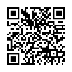所有托盘内的衣物刷的就飞了起来二维码生成