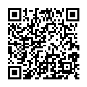 所有护卫神侍全部在两米以外被一层看不见的东西挡住二维码生成
