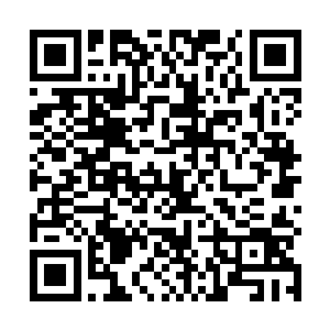 所有拥有工作证的机器人可以继续在岗位上为帝国效力二维码生成