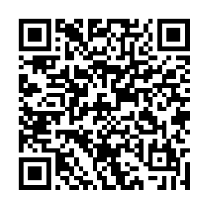 所有的修士依旧如同木偶一般地望着空中那个结界二维码生成