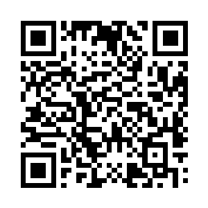 所有的尸首在这样的飓风里都化为了轻灰二维码生成