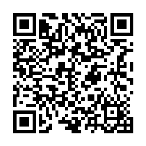 所有的想法都完全抛诸脑后了……李无花现在除了兴奋之外二维码生成