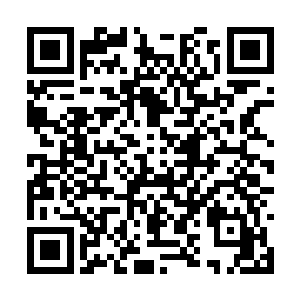 所有的拥有自我意识机甲突然像接到什么命令一般二维码生成