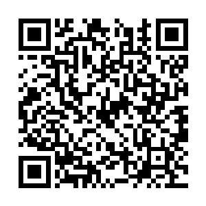 所有的精力全都投入到了金刚不坏圣体的修炼当中二维码生成