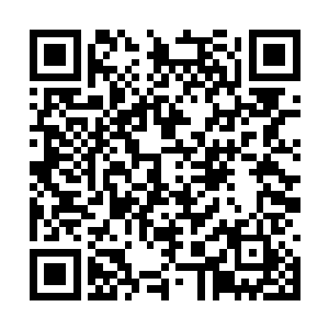 所有的记者都对准了红地毯上的张东城的帕翠西娅二维码生成