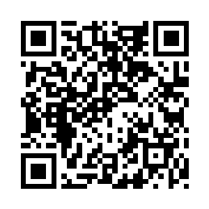 所有的飞龙部落的人被打了一顿后被拿下二维码生成