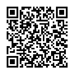 所有看热闹的老牌弟子和新入门弟子都吓了一跳二维码生成