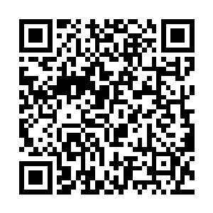 所有程序流程都不会按照普通公民犯罪的待遇来进行二维码生成