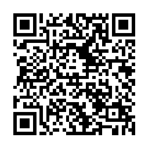 所有纵横家读书人望着天空不断成形的纵横家圣道洪流二维码生成