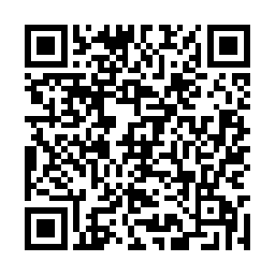所有能用出的手段都纷纷的朝着黑魔老鬼身上招呼二维码生成