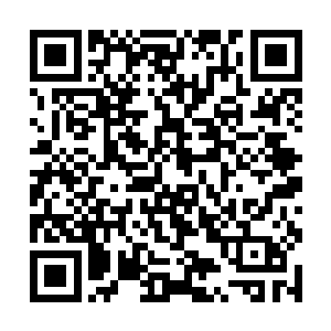 所有能诊断出紫月公主所中的毒的人都有事无法过来二维码生成