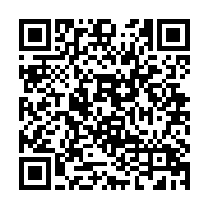 所有还能动的妖怪都被组织起来加入到援救队伍之中二维码生成