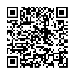 所有食骨部的族人都满面火热地望着那个高大的身影二维码生成