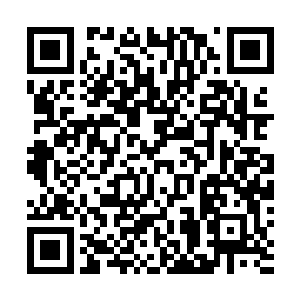 所有黑手帮的帮众都拿着手上的武器向哈克和斯内德出手二维码生成