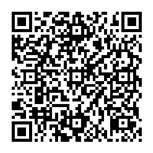 所谓太虚就是主神空间玩家对所有高级世界位面的统称……就像你上次捡的那块木头一样二维码生成