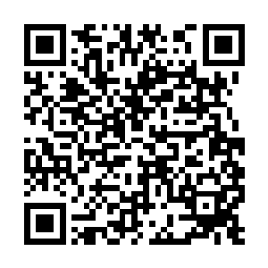 所谓的十二亚圣表决其实都暗中体现三个圣人意思二维码生成