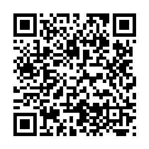 所谓的紫甲就是说这头寻蛇浑身上下的紫意都是凝而不散二维码生成