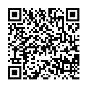 所谓的青年才俊就是年龄不超过五百岁的天赋极高之人二维码生成