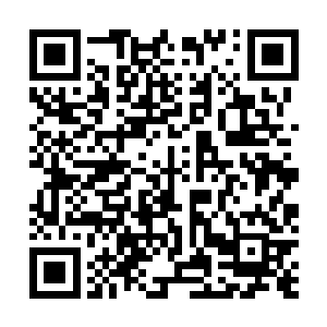 手上的火焰当中似乎隐隐可以见到几个扭曲而透明的面孔二维码生成
