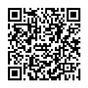手中不知道从哪里却是多出了一个又肥又大的鸡腿二维码生成