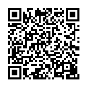 手中低垂的黝黑长刀突然之间像是多了一把刀鞘二维码生成