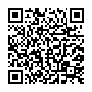 手中的圣兵带着浩浩荡荡的能量波动接连不断的攻向红发老者二维码生成