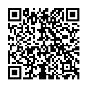 手中的开山刀化为道道白芒劈砍在由古塔斯所化的浓浓黑雾中二维码生成